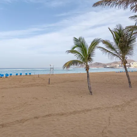 Siempreviva Canteras Las Palmas de Gran Canaria