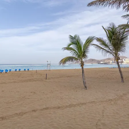 Siempreviva Canteras Las Palmas de Gran Canaria