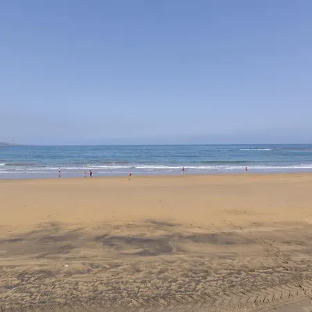 Siempreviva Canteras Las Palmas de Gran Canaria